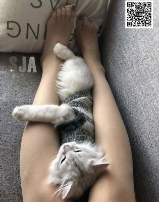 大胸女电影_4K在线观看高清