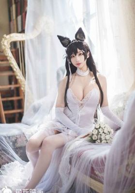 我的中尉先生樱花分集剧情简介_720免费观看韩国