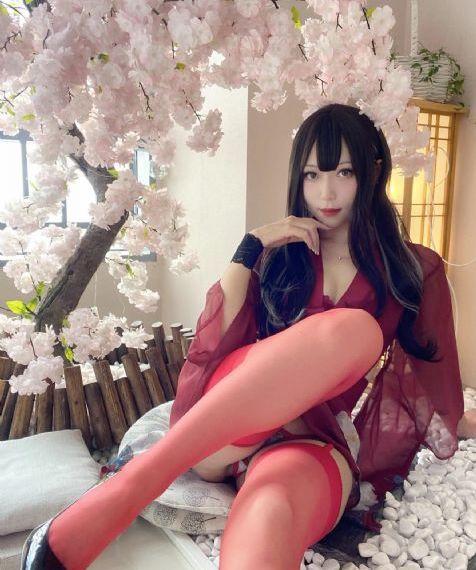 上阳赋 电视剧_BD全集免费观看